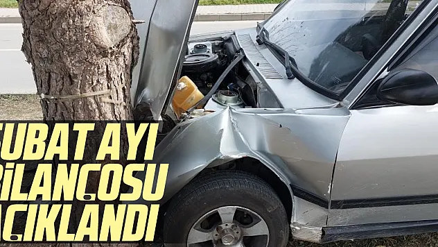 Şubat ayı bilançosu açıklandı