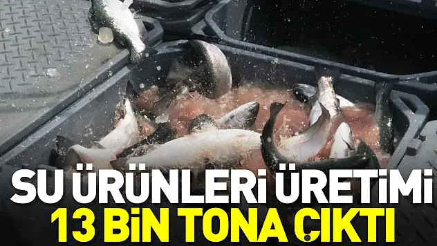 SU ÜRÜNLERİ ÜRETİMİ 13 BİN TONA ÇIKTI