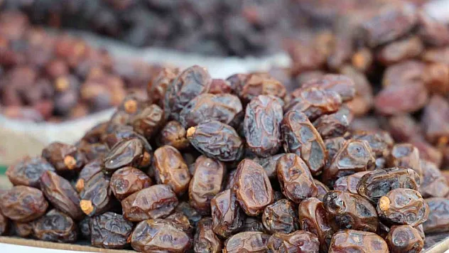 HURMA TOKLUK SAĞLIYOR