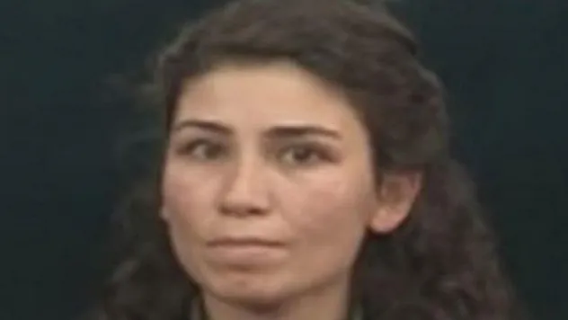 MİT, terör örgütü PKK/KCK'ya nokta operasyon