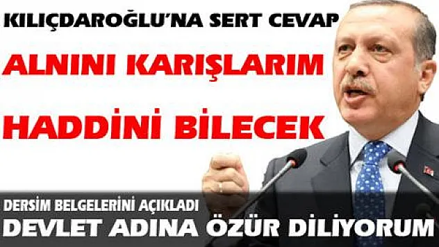 Başbakan: Onun seviyesine inemem