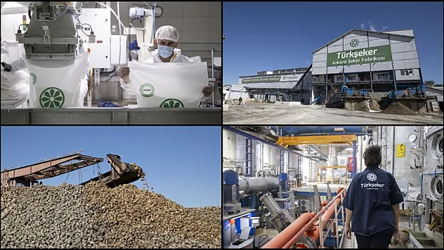 Türkşeker  2023-2024 döneminde rekor kırdı