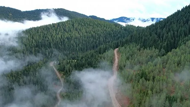 OGM'den gençlik aşısı