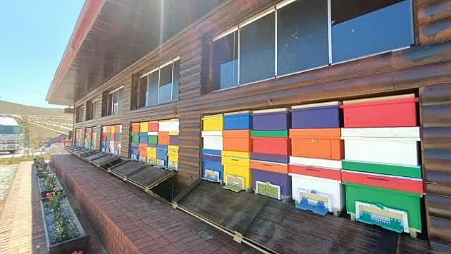 O Proje Türkiye Genelinde Uygulanacak