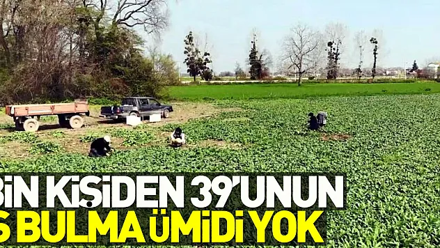 BİN KİŞİDEN 39'UNUN İŞ BULMA ÜMİDİ YOK