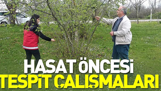 Hasat Öncesi Tespit Çalışmaları