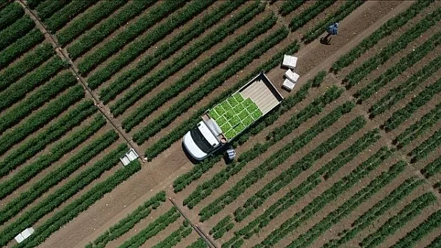 Çiftçilere ödeme yapıldı