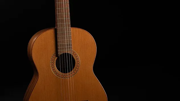 ÇOCUKLARI DARP EDİP GİTAR VE CEP TELEFONU GASP ETTİLER