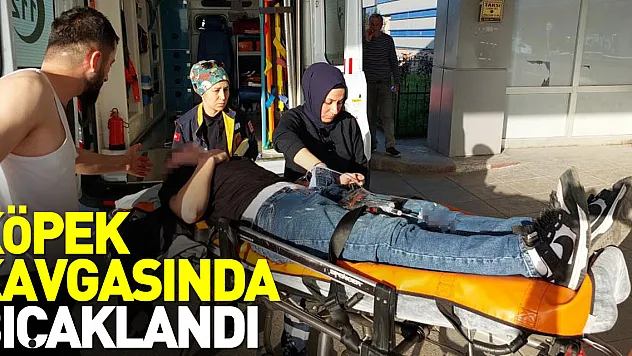 KÖPEK KAVGASINDA BIÇAKLANDI