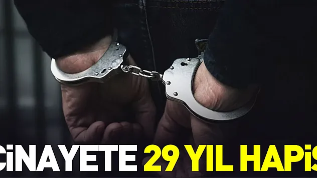 CİNAYETE 29 YIL HAPİS