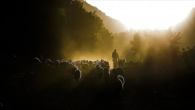 45 proje 210,6 milyon lira hibe alacak