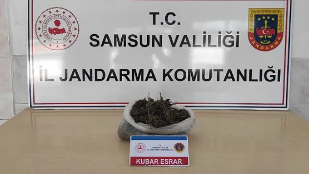 Uyuşturucu operasyonunda 1 yakalama