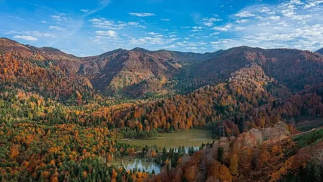 Ormanlar su rejimini düzenleyip yer altı suyu kalitesini zenginleştiriyor
