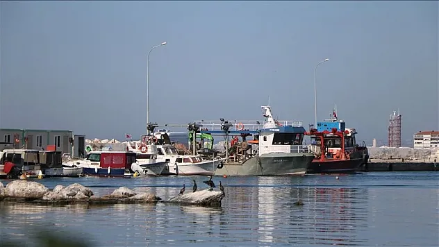 Balıkçılar bu yıl da hamsi ile kazanç sağladı