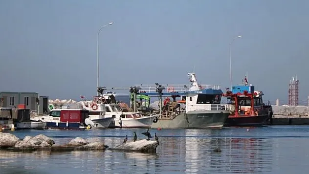Yalovalı balıkçılar bu yıl da hamsi ile kazanç sağladı