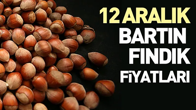 12 Aralık Bartın Fındık Fiyatları | Yıl Sonu Yaklaşırken Piyasa Sessiz ama Dirençli