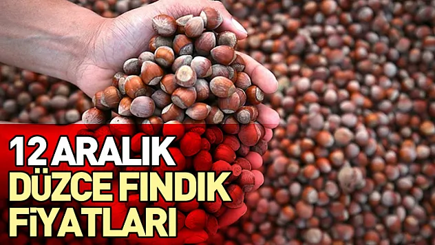 12 Aralık Düzce Fındık Fiyatları