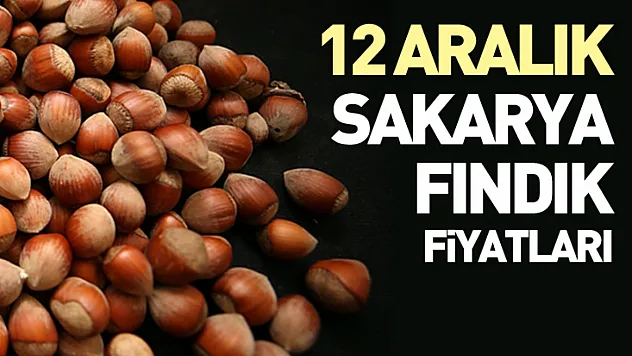 12 Aralık Sakarya Fındık Fiyatları | Piyasa Dengeli İlerliyor