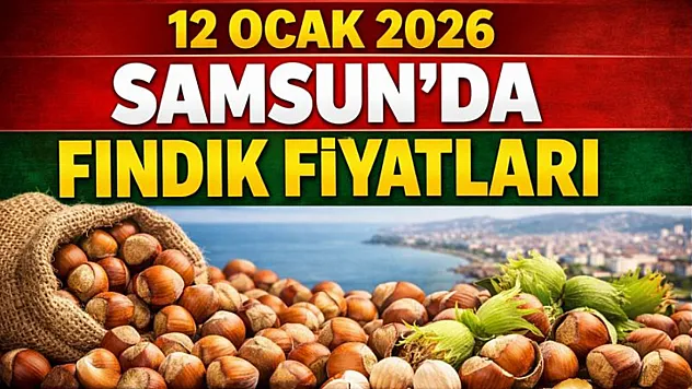 12 Ocak 2026 Samsun'da fındık fiyatları