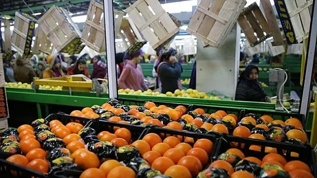 Tarım sektöründen ihracatta ilk çeyrek rekoru