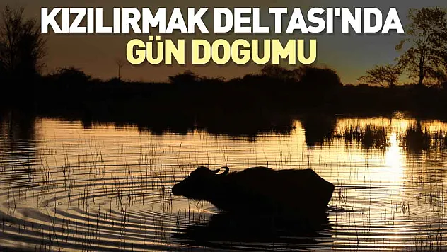 Kızılırmak Deltası'nda gün doğumu hayran bıraktı