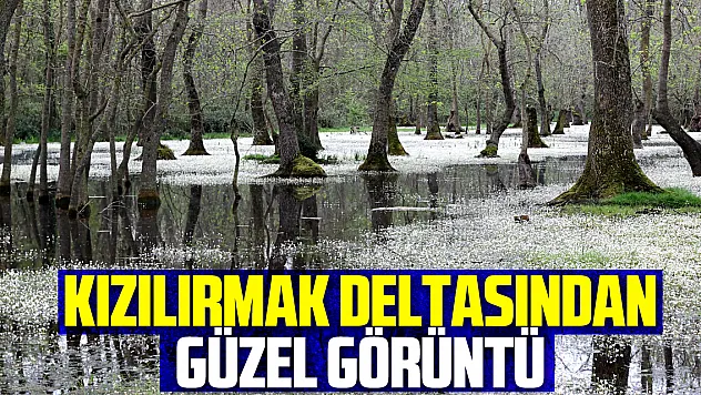 KIZILIRMAK DELTASINDAN GÜZEL GÖRÜNTÜ