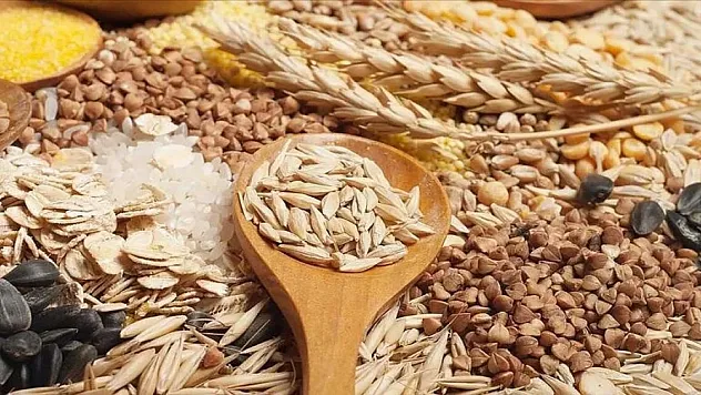 Hububat ve bakliyat ihracatı arttı