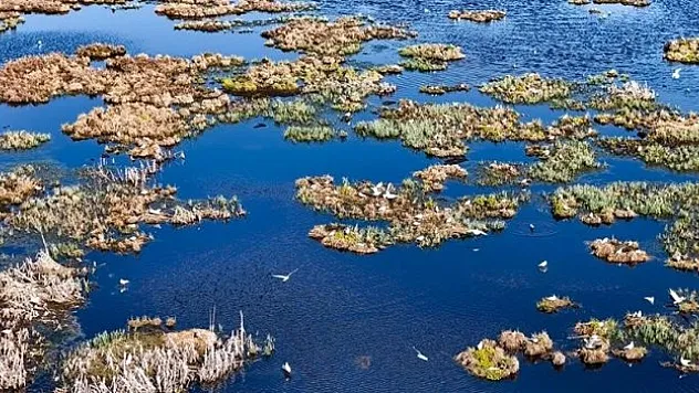 Çalı Gölü'ne göçmen kuşlar gelmeye başladı