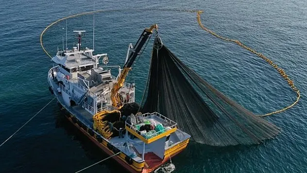 Ticari balıkçılığın yeni yol haritası belirleniyor