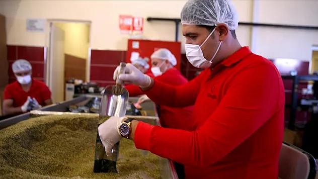 441 ton baharat paketledi