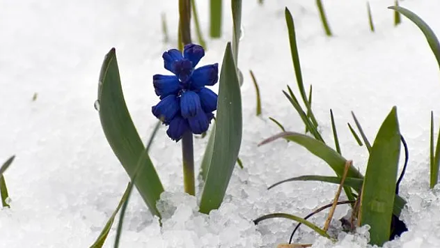 Kars'ta kar yağışı etkili oldu
