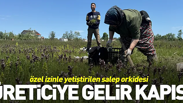 Üreticiye gelir kapısı