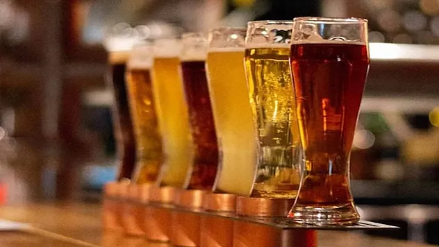 Bira Kitlerinin İçeriği Nedir?