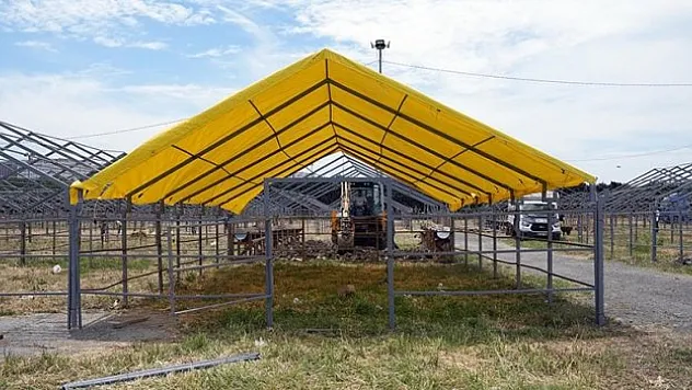 Pazarlar, kurbanlıkları bekliyor