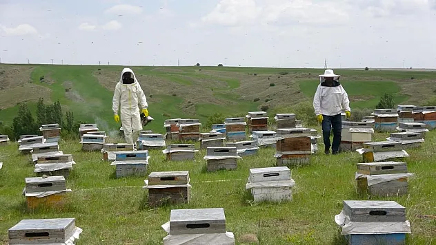 Bozok Yaylası'nı tercih ediyor