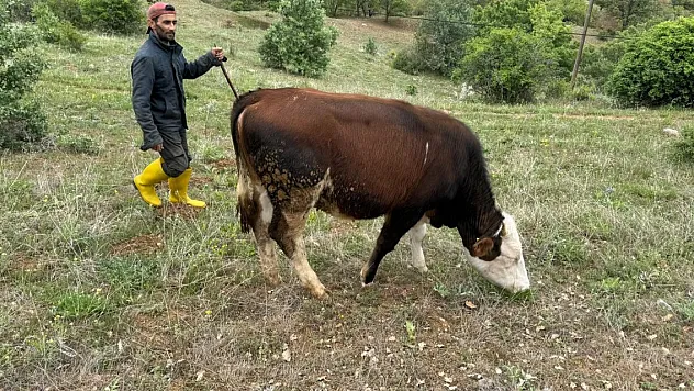 Devlet desteğiyle başladı,16 yıldır devam ediyor