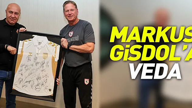 Markus Gisdol'a veda