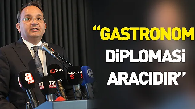 Cevdet Ertürkmen: 'Gastronomi diplomasi aracıdır'