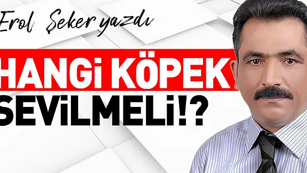 HANGİ KÖPEK SEVİLMELİ!?