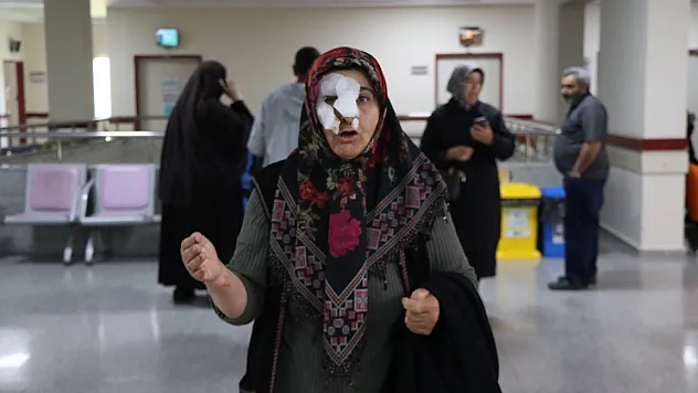 sokak köpekleri dehşet saçtı