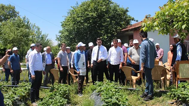 Çilek yetiştiriciliği eğitimi