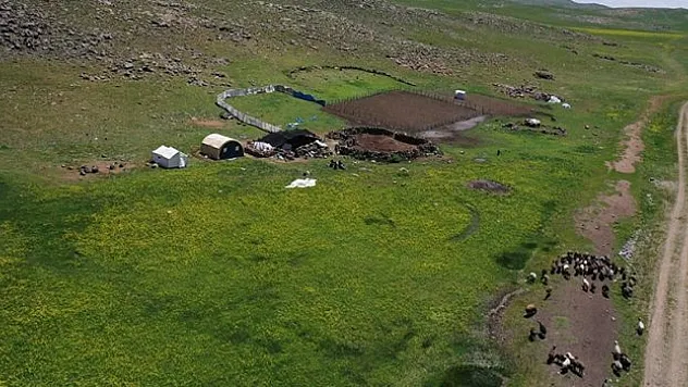 Göçerler Sinek Yaylası'nda çadırlarını kurmaya başladı