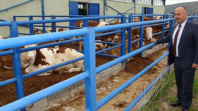 Kurbanlıkta yaşa dikkat