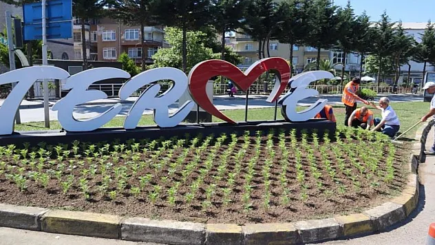 Kendi ürettiği çiçekleri dikiyor