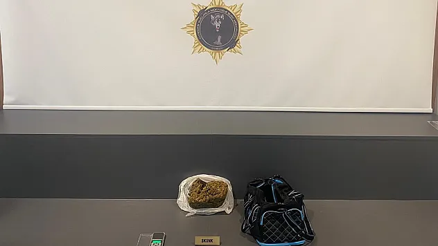 421 gram skunk ele geçirildi