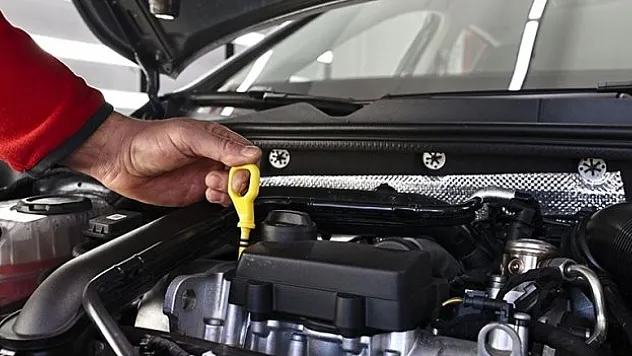 Oto ekspertizde eleştiri