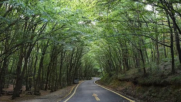 Türkiye genelinde 27 ilde ormanlara giriş yasaklandı
