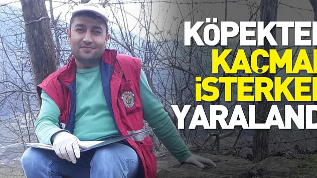 Köpekten Kaçmak İsterken yaralandı