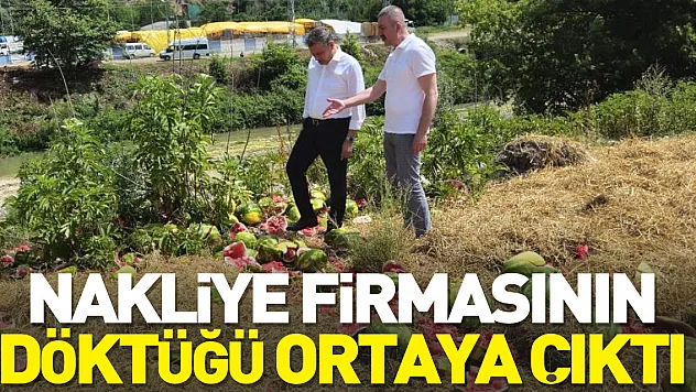 Nakliye firmasının döktüğü ortaya çıktı