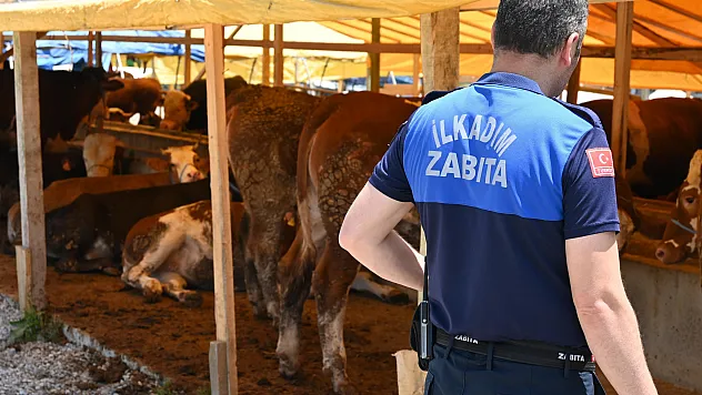 Zabıta ekipleri kurban denetimlerini artırdı